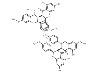 Ruixianglangdusu B
