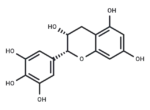 (-)-Epigallocatechin