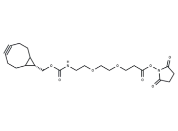 endo-BCN-PEG2-C2-NHS ester