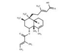 Kolavenic acid analog