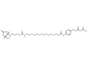 Diketone-PEG4-Biotin