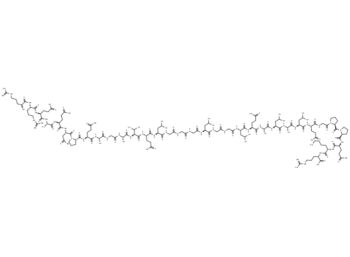 Proinsulin C-Peptide (31-63), porcine