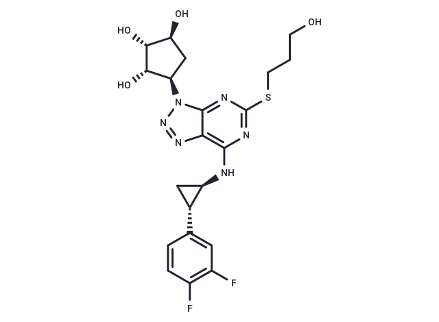 Antiplatelet agent 2