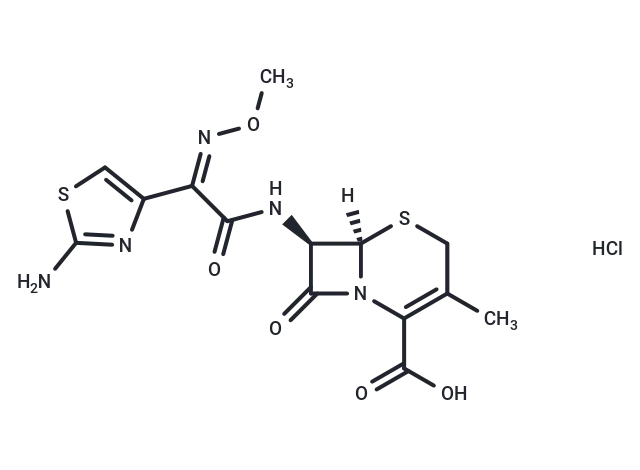 Cefetamet Hydrochloride