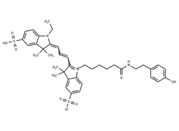 Cyanine 3 Tyramide