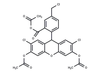 CM-H2DCFDA