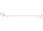 endo-BCN-PEG8-NHS ester