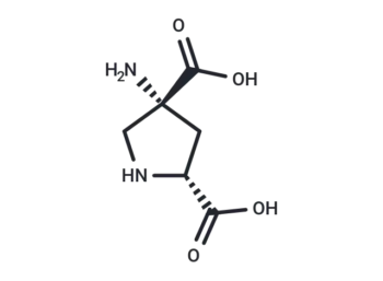(2R,4R)-APDC