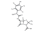 Amoxicillin D4