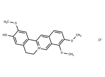 Jatrorrhizine hydrochloride