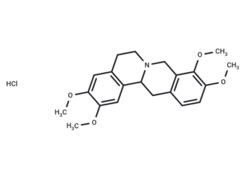 Tetrahydropalmatine hydrochloride