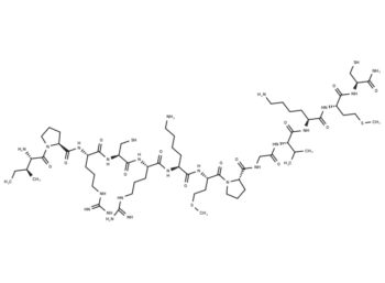 Proteasome-activating peptide 1