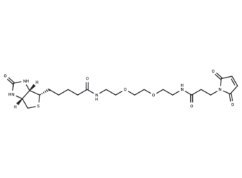Biotin-PEG2-Mal