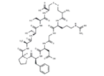Cys-Arg-Gly-Asp-Phe-Pro-Ala-Ser-Ser-Cys (Disulfide bridge:cys1-cys10)