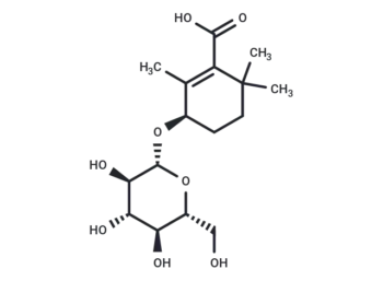 Rehmapicroside