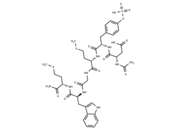 CCK (26-31) (sulfated)