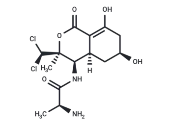 Y 14556