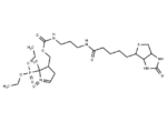 DEPMPO-biotin