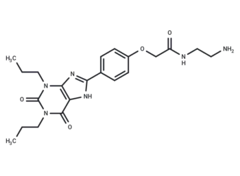 Xanthine amine congener
