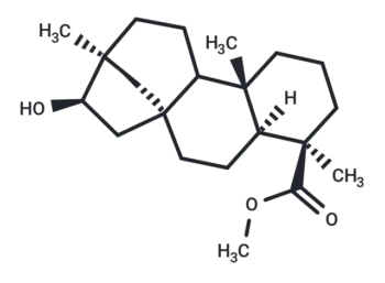 Compound N062-0011