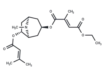 Schizanthine A