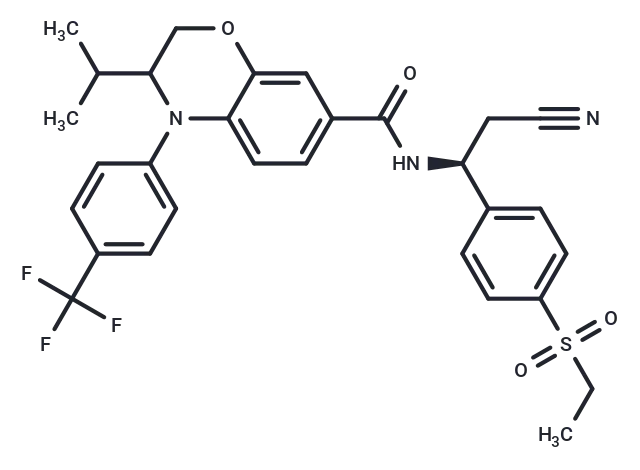 RORγt agonist 2