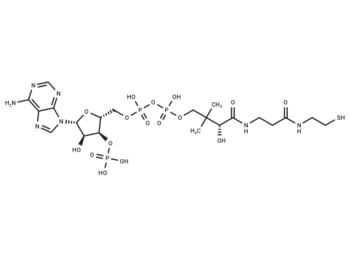 Coenzyme A