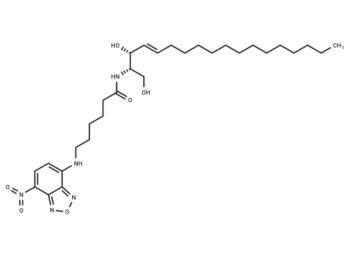 C6 NBD Ceramide