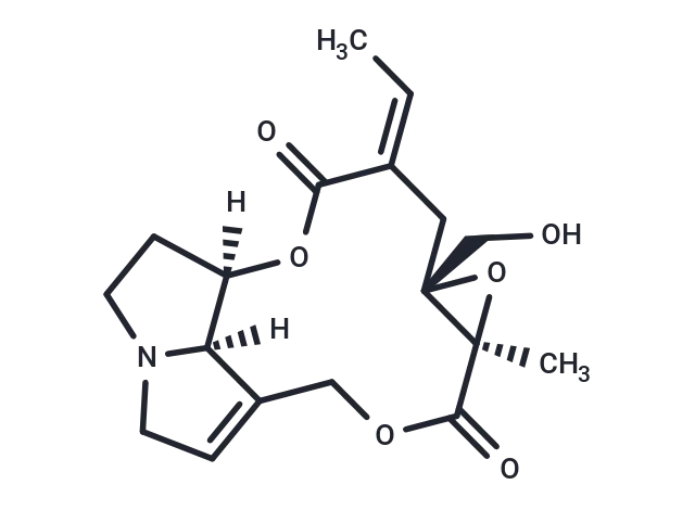 Erucifoline CgoaEWY7TNaETaMPAAAAAEJZ0Es015- Immunomart