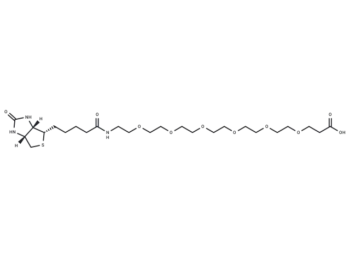 Biotin-PEG6-acid