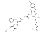 β-Lipotropin (60-65)