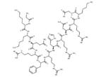 Vitronectin (367-378)