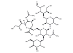 Sialyllacto-N-tetraose b