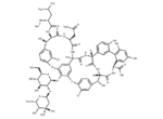 Vancomycin