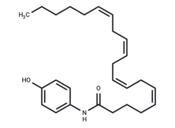 AM404
