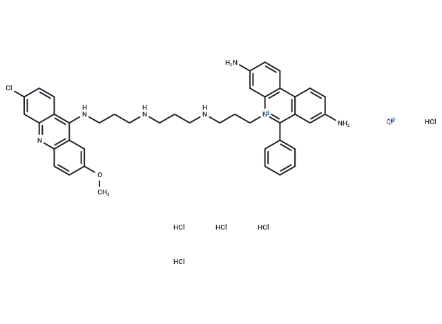 Acridine ethidium heterodimer