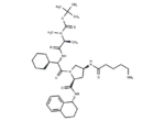 Boc-A 410099.1 amide-alkylC4-amine