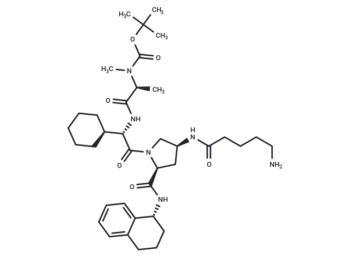 Boc-A 410099.1 amide-alkylC4-amine