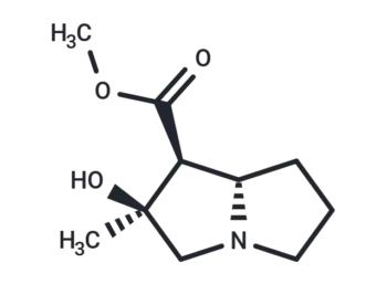 Tussilagine
