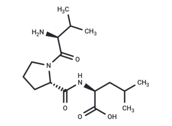 Diprotin B