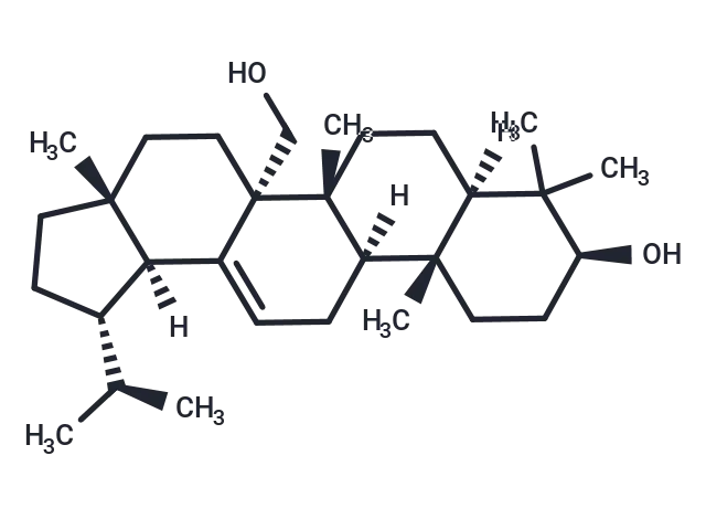 Obtusalin