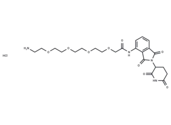 Pomalidomide-amino-PEG4-NH2 hydrochloride