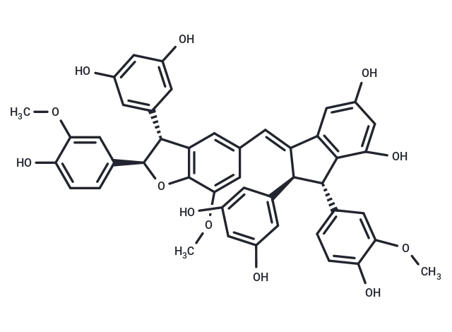 Gnetuhainin O CgoaEWY7TmGETANiAAAAAL0UkHE922- Immunomart