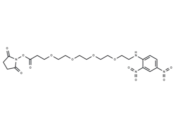 DNP-PEG4-NHS ester