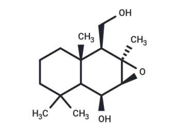 Uvidin B