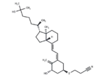 Calcitriol Derivatives