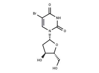 5-BrdU