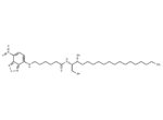 C6-NBD Sphinganine