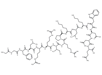 Dynorphin (2-17) (porcine)