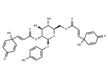 Robustaside G
